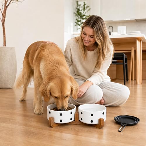 Dog Bowls Ceramic (Black Dot / 850ML*2)