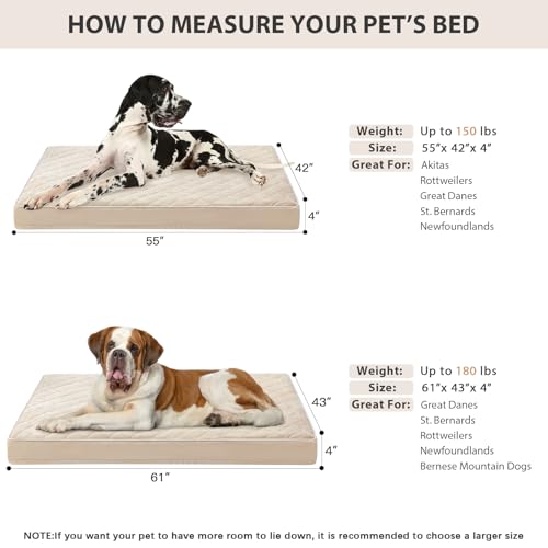 Orthopedic Giant Human Dog Beds for Adult & Dog Cozy Sleep (Beige / 61"L x 43"W x 4"Th)