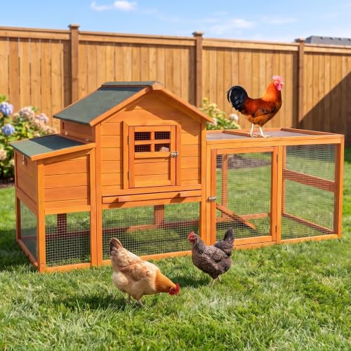 Wooden Chicken Coop 3 (76.0"L x 22.5"W x 38.6"H)