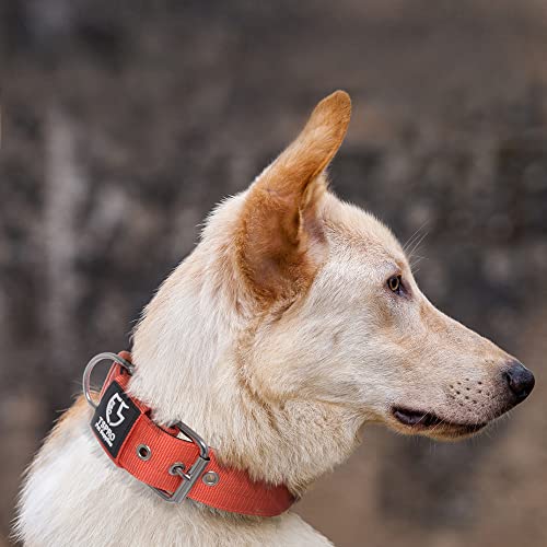 Heavy Duty Thick Dog Collar with Metal Buckle for Large Dogs (L – Fits Neck 18.9"-21.7" / Basic Orange)