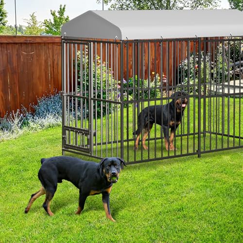 8x4x6 FT Outdoor Dog Kennel