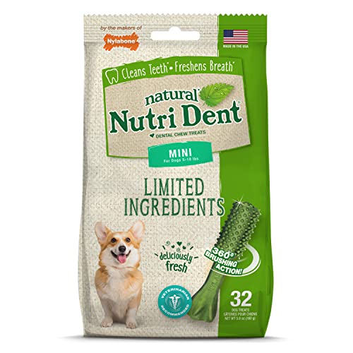 Nutri Dent Dog Dental Chews (5.6 Ounce (Pack of 1))