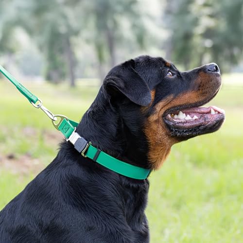 Biothane Waterproof Dog Collar with Herm Sprenger Black Stainless Steel Quick Release Buckle (W 1" x L 15"-25" / Teal)
