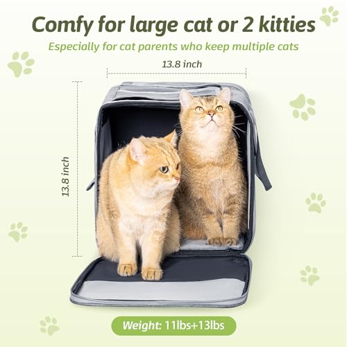 Large Cat Carrier for 2 Cats (Grey(Large))