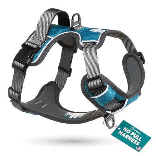 Embark No Pull Dog Harness (L / Blue)