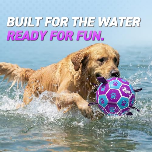 Dog Ropes Toys (Purple-Blue / Medium Size 2 (6 Inch))
