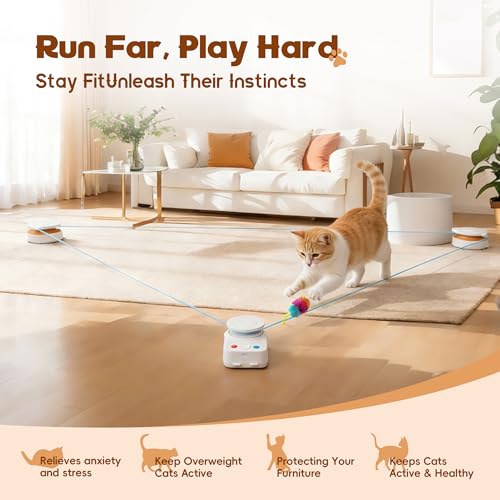 Interactive Cat Toy for Indoor Cat (H1K2)