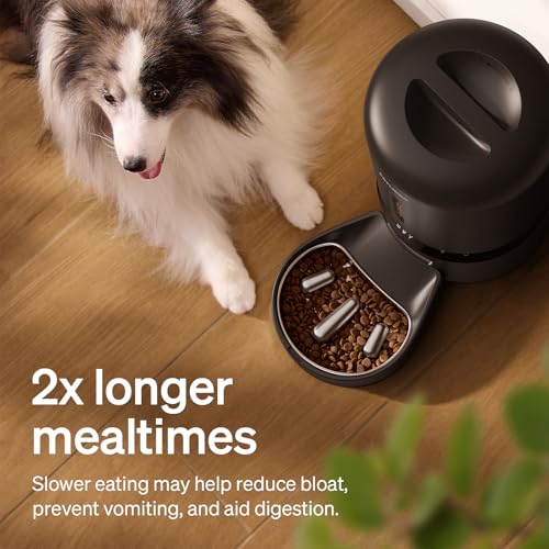 Automatic Dog Feeder with Camera (Black / 5L-with Camera & Slow Feed Bowl)
