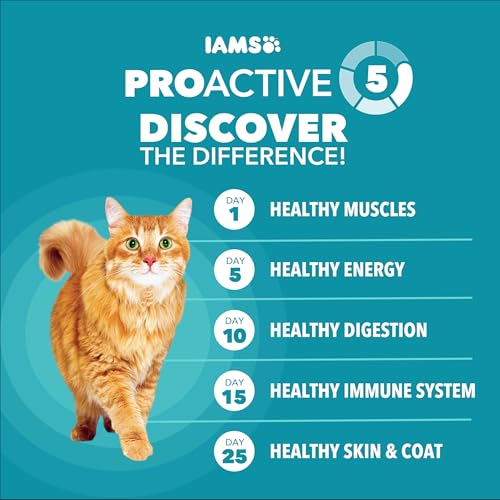 Proactive Health Indoor Dry Cat Food (22 Pound (Pack of 1))