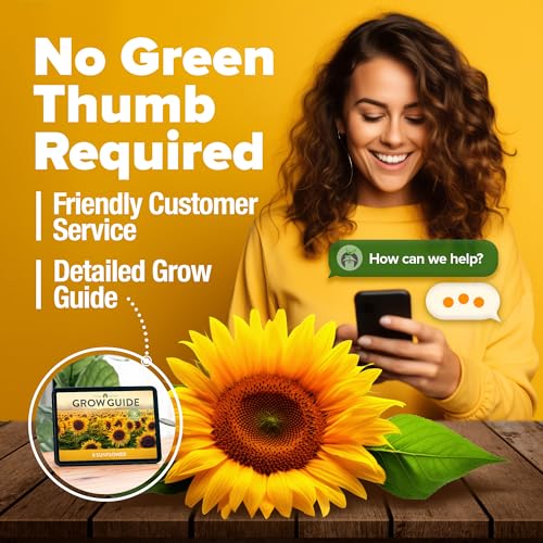 Sunflower Mix Seeds