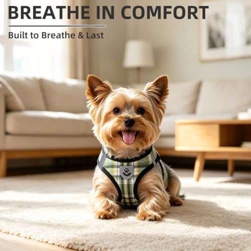 Dog Harness Collar and Leash Set No Pull for Small Medium Sized (Yellow Green / XS (CHEST 13"-14.5"))