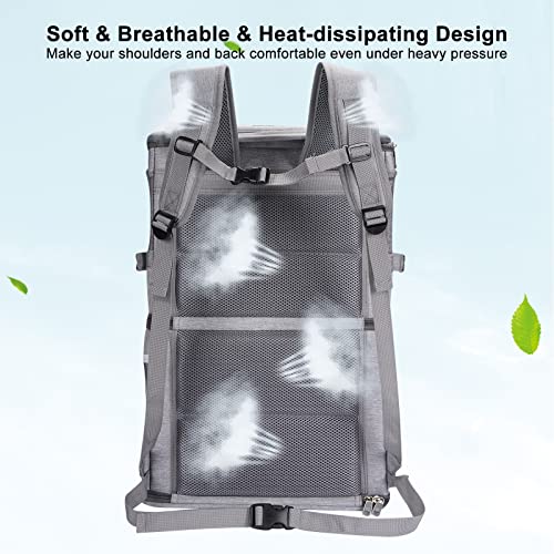 2-in-1 Double Pet Carrier Backpack for Small Cats & Dogs, Grey (Grey / 14.6"L x 11.2"W x 21.6"H)