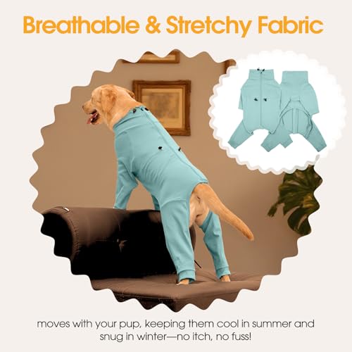 Recovery Suit for Large Dogs (Green / XL)