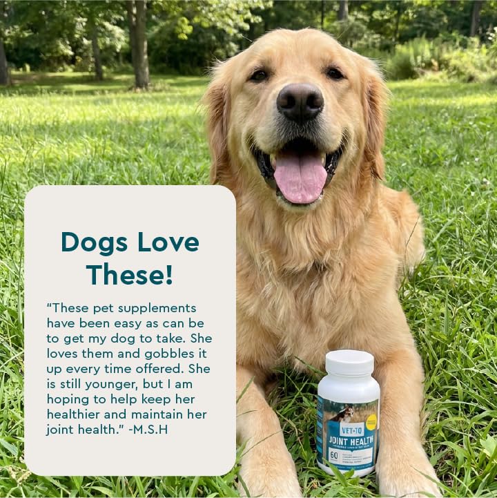 Hip & Joint Chewable Tablets for Dogs (Standard Strength / 60 Count (Chewable Tablets))