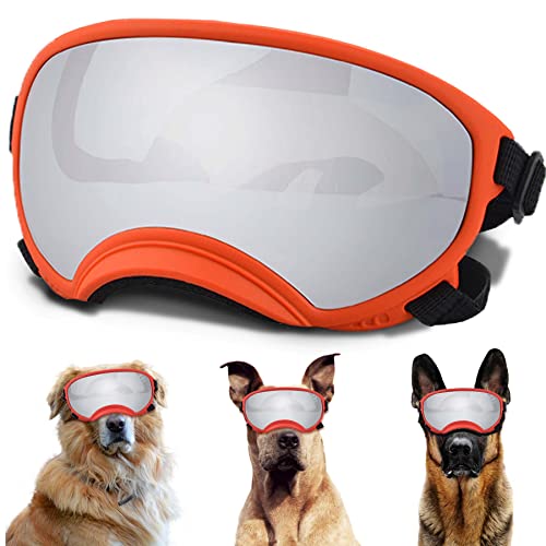 Dog Sunglasses