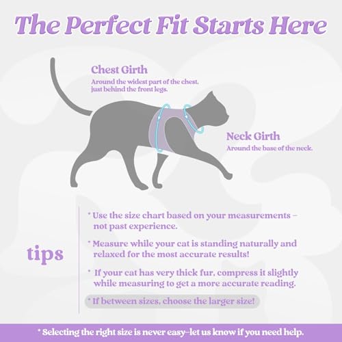 Cat Harness and Leash Set (XL / Black-Light Purple)