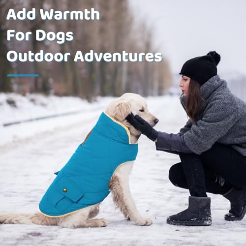 Waterproof Dog Winter Coat Warm Puffer Jacket Plush Lining Vest (Medium / Blue)