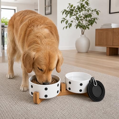 Dog Bowls Ceramic (Black Dot / 850ML*2)