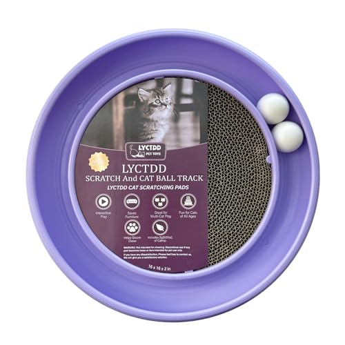 Interactive Cat Ball Track Toy for Indoor Cats (Purple)
