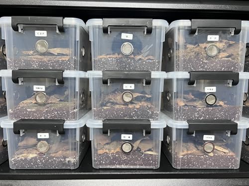 2pcs Large Reptile Feeding Box Snake Breeding Box Plastic Reptile Tank for Sling