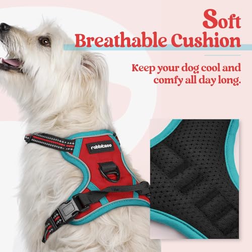 Dog Harness No Pull for Small Dogs with 2 Leash Clips (X-Small / Red & Teal)