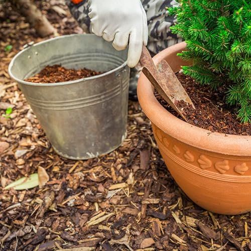 Premium Eucalyptus Wood Mulch for Indoor (0.3 CF - 8 L - 9 QTS / Eucalyptus Wood Mulch)