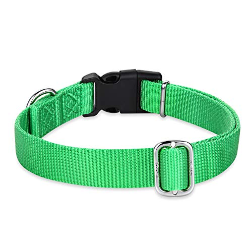 Green Dog Collar for Medium Dogs (Medium / Lime Green)