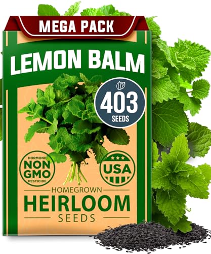 Lemon Balm Seeds
