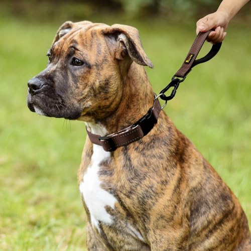 Short Dog Leash with Padded Handle for Medium Large Dogs (Chocolate / 18 Inch (Pack of 1))