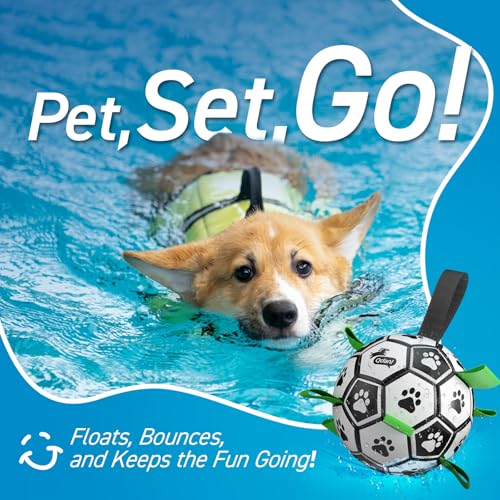 Dog Soccer Balls with Bell Inside (Squeaky Green / Medium Size 2 (6 Inch))