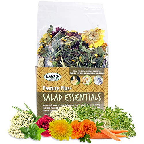 Pasture Plus+ Salad Essentials