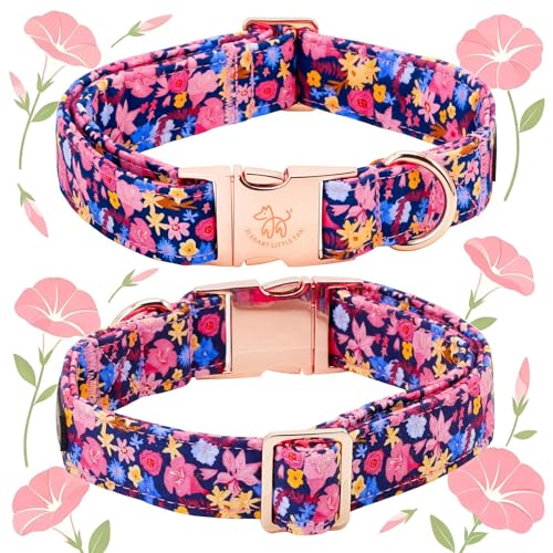 Dog Collar Floral Pattern Pet Collars with Bow Girl (Morning Glory / X-Small (Pack of 1))
