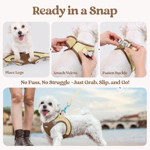 Dog Harness Small Sized and Leash Set (Brown & Beige / Xs (chest: 13.3 - 15.5"))