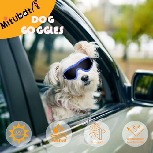 Dog Goggles Small Breed Dog Sunglasses Doggy UV Protection Glasses (Blue Frame Black Lens)