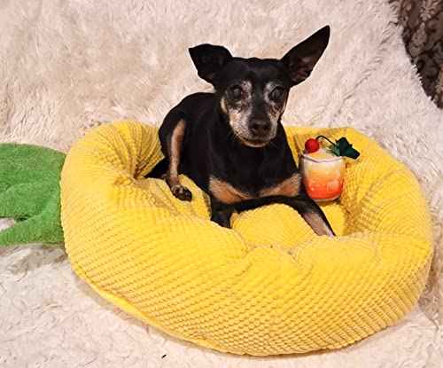 Soft Plush Small Cute and Cozy Food Dog Cat Bed (Pineapple)