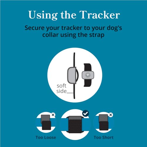 Smart GPS and Activity Dog Tracker Tag (Black)