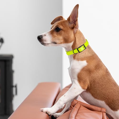 Biothane Waterproof Dog Collar Strong Coated Nylon Webbing with Black Hardware Odor