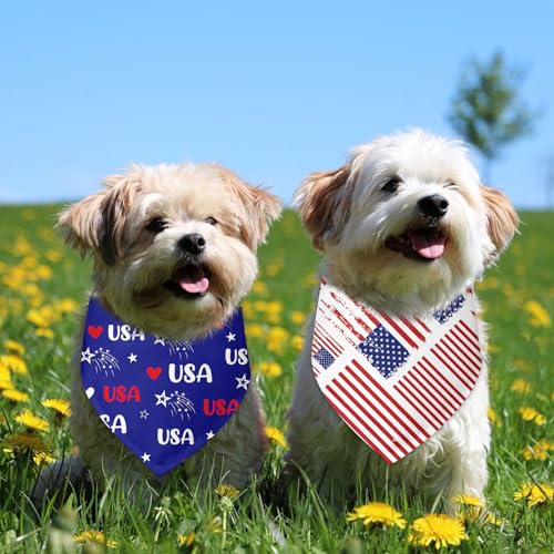 4th of July Dog Bandana 2 Pack (I)