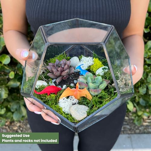 Glass Terrarium Kit (Geometric Glass)