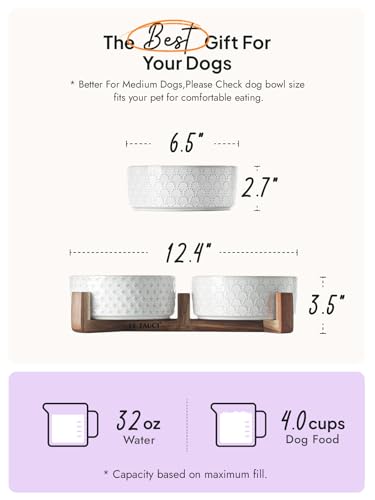 Dog Bowls Ceramic for Small Medium Dogs (Fireworks+Clover / M-4 Cup)