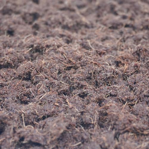 15oz Coco Coir Brick for Hermit Crab (15 oz)