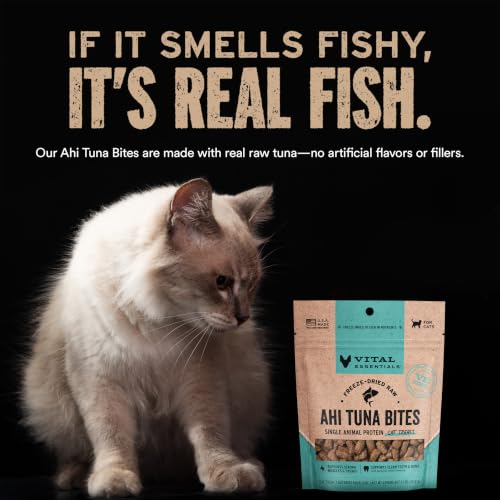 Freeze Dried Cat Treats (1.1 Ounce (Pack of 1))