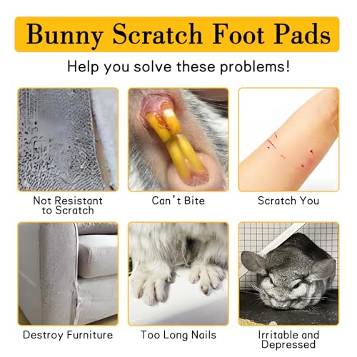 Chinchilla Scratch Foot Pads Natural Hamster Grinding Claw Mats 2Pcs (Black 2x Small)