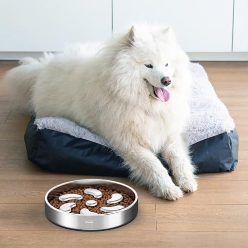 Slow Feeder Dog Bowl (Spiral-1Pack / L 3~3.5Cups)