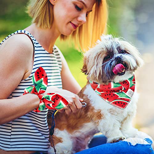 Summer Dog Bandanas Girl Matching Dog Bandana and Scrunchie Large (watermelon / Large-set of 1)