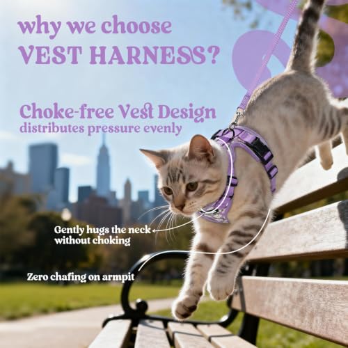 Cat Harness and Leash Set (S / Purr-ple Daisy)