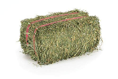 Alfalfa Hay 40 oz (2.5 Pound (Pack of 1))