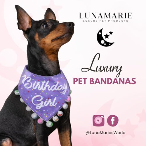 Luxury Pet Birthday Bandanas (Birthday Girl Purple / Small)