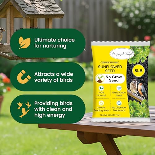 5 LB Black Oil Sunflower Seeds Bird Food (5 Pound (Pack of 1))