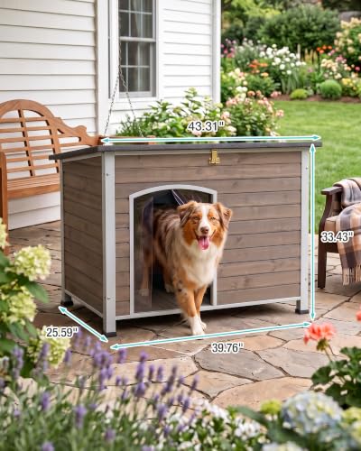 Dog House Outdoor
